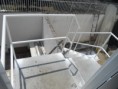 /album/escaleras/dscn2856-jpg/